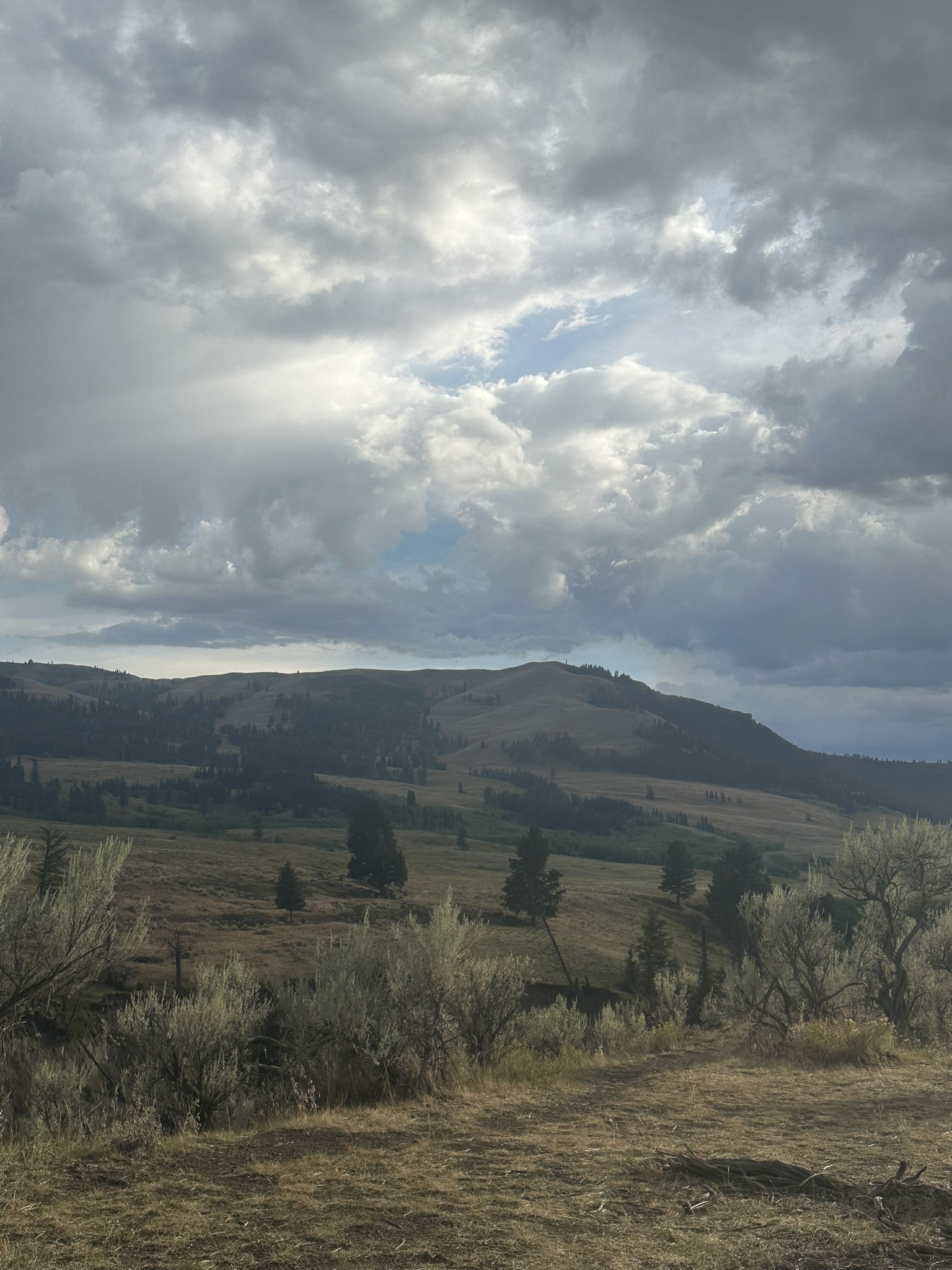 Yellowstone And Grand Teton National Parks - Image 1115